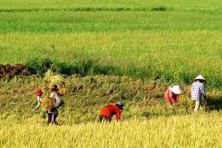 Bình Thuận: Chăm lo toàn diện cho đồng bào dân tộc thiểu số