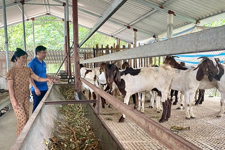 Phú Thọ: Phát triển kinh tế - xã hội vùng đồng bào dân tộc thiểu số và miền núi