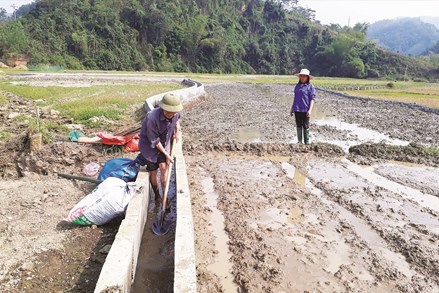 Chương trình MTQG 1719 là “chìa khóa” giúp đồng bào dân tộc thiểu số tỉnh Bắc Kạn vươn lên thoát nghèo