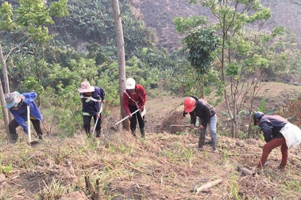 Nghệ An: Ưu tiên giải quyết chính sách về đất đai cho đồng bào dân tộc thiểu số