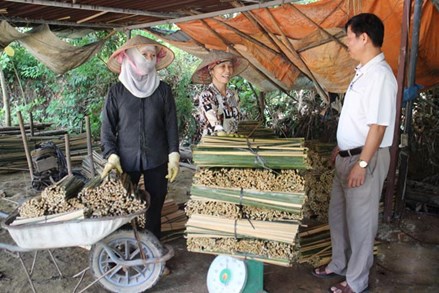 Hợp Tiến: Tạo sinh kế giảm nghèo vùng đồng bào dân tộc thiểu số