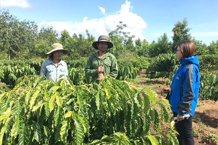 Huyện Ngọc Hồi: Thực hiện hỗ trợ, giải quyết đất ở, nhà ở cho hộ dân tộc thiểu số