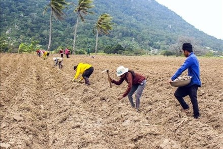 Ninh Thuận: Đồng bào DTTS an cư lạc nghiệp nhờ Chương trình MTQG 1719