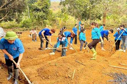 Chiêm Hóa linh hoạt, sáng tạo làm nhà cho hộ nghèo