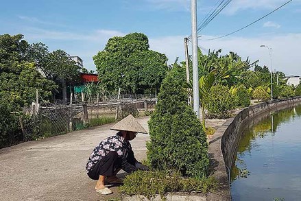 Mặt trận Tổ quốc huyện Xuân Trường đoàn kết nhân dân xây dựng nông thôn mới nâng cao, kiểu mẫu