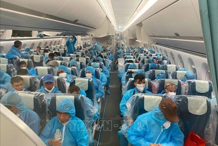 219 công dân Việt Nam từ Guinea Xích đạo đã về đến sân bay Nội Bài an toàn
