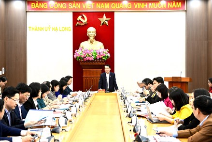 Phó Chủ tịch – Tổng Thư ký Hầu A Lềnh kiểm tra công tác bầu cử tại thành phố Hạ Long