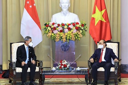 Chủ tịch nước Nguyễn Xuân Phúc tiếp Bộ trưởng Ngoại giao Singapore chào xã giao 