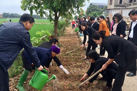 Xây dựng Nông thôn mới ở Hà Nội: Phát triển nông thôn gắn với bảo vệ môi trường 
