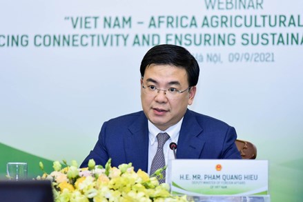 Tiếp tục làm sâu sắc hơn nữa quan hệ hợp tác nhiều mặt Việt Nam-châu Phi
