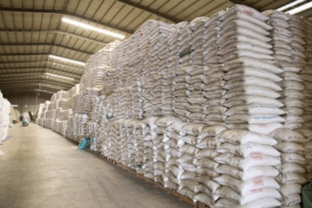 Xuất cấp hơn 4880 tấn gạo hỗ trợ người dân 3 tỉnh gặp khó khăn do dịch COVID-19