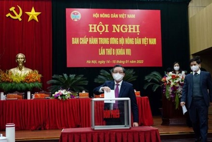 Các cấp Hội Nông dân Việt Nam tập trung thực hiện 5 nhóm nhiệm vụ trọng tâm