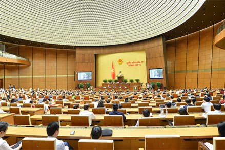 Kỳ họp thứ Ba, Quốc hội Khóa XV: Chương trình làm việc ngày 3/6/2022
