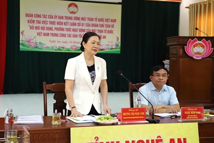 Bà Trương Thị Ngọc Ánh kiểm tra việc thực hiện Kết luận 01 tại tỉnh Nghệ An