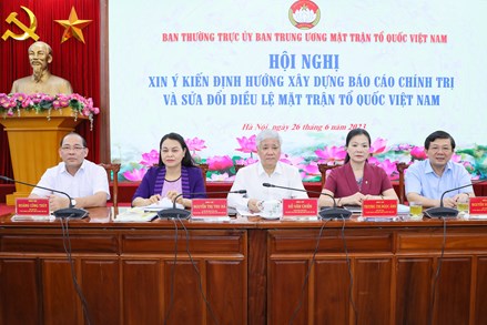Các tổ chức thành viên, Hội đồng tư vấn góp ý xây dựng báo cáo chính trị và sửa đổi điều lệ MTTQ Việt Nam