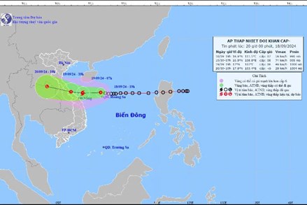 Thủ tướng chỉ đạo tập trung ứng phó áp thấp nhiệt đới có khả năng mạnh lên thành bão và mưa lũ