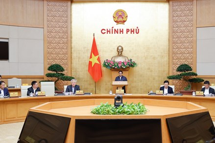 Thủ tướng: Phấn đấu hoàn thành 15/15 chỉ tiêu năm 2024, tạo đà cho năm 2025