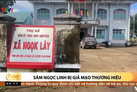 Alo Chào buổi sáng - VTV1 - 25/01/2022 – Sâm Ngọc Linh bị giả mạo thương hiệu