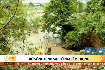 Alo Chào buổi sáng - VTV1 - 29/09/2022 - Bờ sông Dinh sạt lở nghiêm trọng