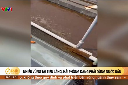Alo Chào buổi sáng - VTV1 - 21/04/2024 - Nhiều vùng tại Tiên Lãng, Hải Phòng đang phải dùng nước bẩn