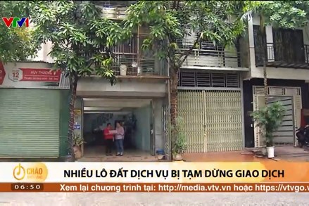 Alo Chào buổi sáng - VTV1 - 08/06/2024 - Nhiều lô đất dịch vụ bị tạm dừng giao dịch