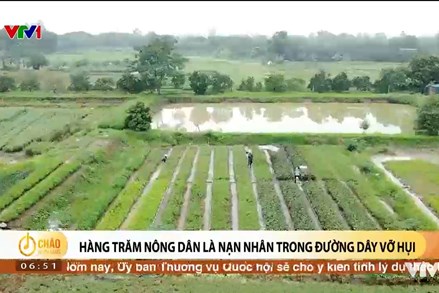 Alo Chào buổi sáng - VTV1 - 12/06/2024 - Hàng trăm nông dân là nạn nhân trong đường dây vỡ hụi