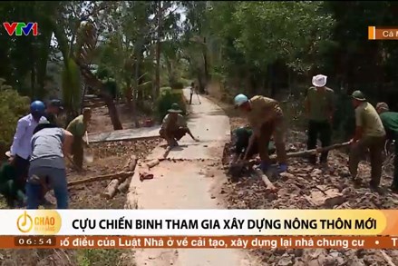 Alo Chào buổi sáng - VTV1 - 27/07/2024 - Cựu chiến binh tham gia xây dựng nông thôn mới