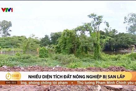 Alo Chào buổi sáng - VTV1 - 31/07/2024 - Nhiều diện tích đất nông nghiệp bị san lấp