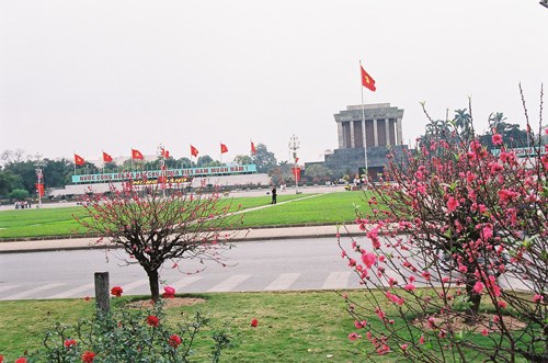 Việt Nam bước vào năm Kỷ Hợi với dáng đứng mới, thế đứng mới