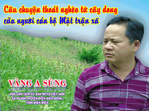 Câu chuyện thoát nghèo từ cây dong của người cán bộ Mặt trận xã Pu Nhi, huyện Điện Biên Đông