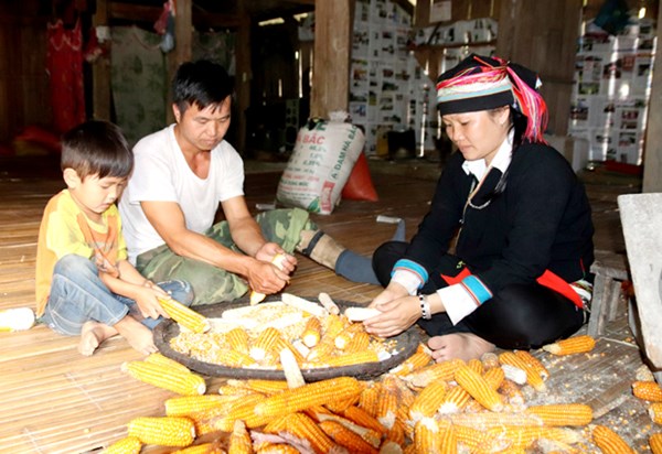 Hà Giang phát triển toàn diện vùng đồng bào dân tộc thiểu số