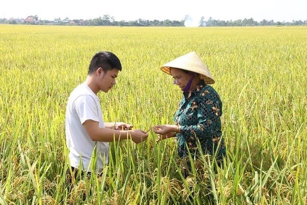 Hòa Bình: Ưu tiên việc làm cho đồng bào dân tộc thiểu số