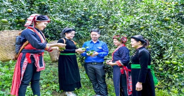 Tuyên Quang: Nâng cao đời sống vùng đồng bào dân tộc