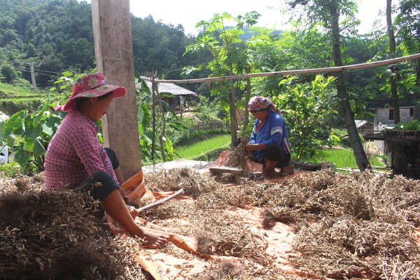 Nhiều đổi thay trên vùng đồng bào dân tộc thiểu số ở tỉnh Phú Yên