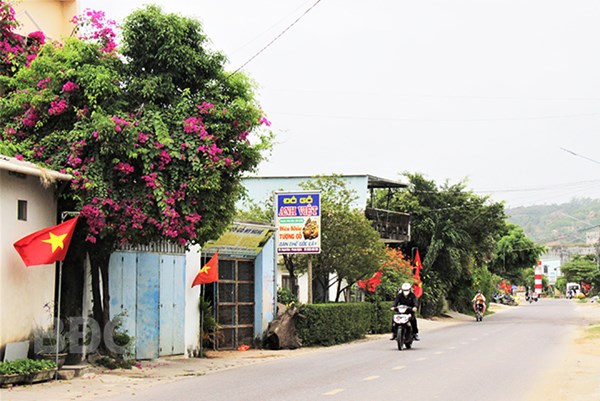 Bình Định:Tập trung sức mạnh xây dựng nông thôn mới, đô thị văn minh