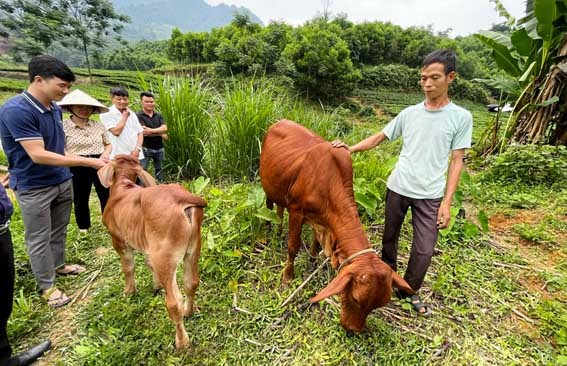 Tạo “sức bật” cho vùng đồng bào dân tộc thiểu số