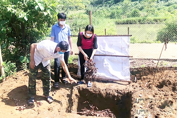 Huy Tân bảo vệ môi trường