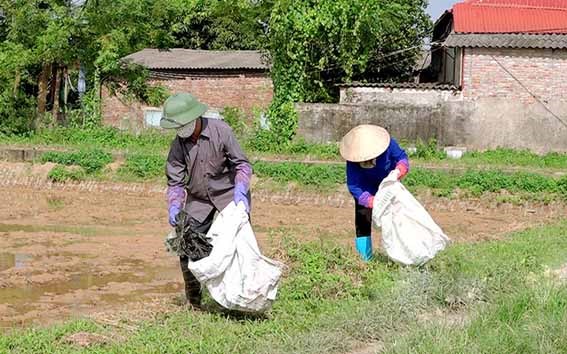 Bắc Ninh có 535 mô hình “Nông dân tham gia bảo vệ môi trường”