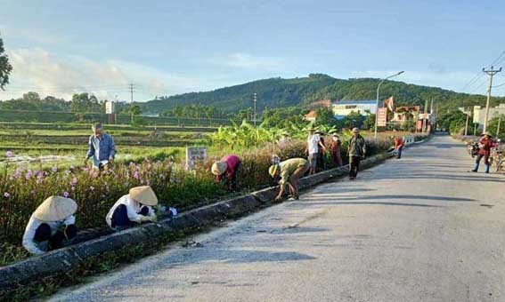 Nỗ lực bảo vệ môi trường nông thôn