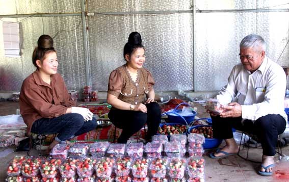Phát huy vai trò người có uy tín trong đồng bào dân tộc thiểu số ở huyện Mai Sơn