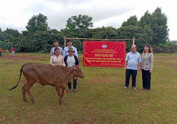 Ủy ban MTTQ tỉnh Gia Lai trao 15 con bò cho các hộ nghèo và cận nghèo làng Đak Bớt