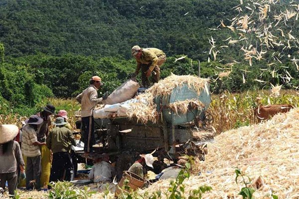 Bình Thuận: “Dân vận khéo” ở vùng đồng bào dân tộc thiểu số