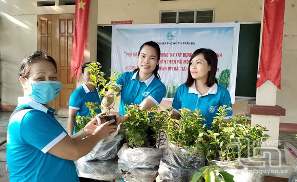 Thái Nguyên: Hiệu quả từ phong trào Phòng, chống rác thải nhựa