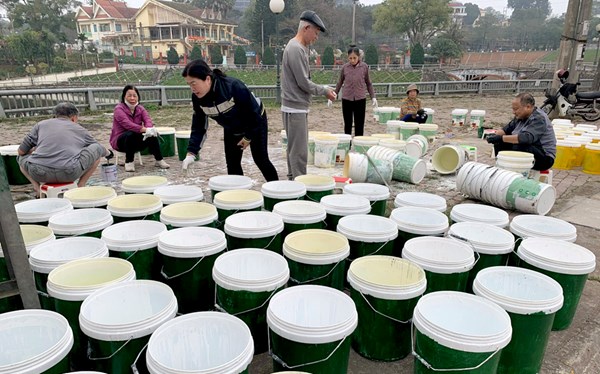 Yên Bái: 95% hộ dân trên địa bàn thành phố Yên Bái phân loại rác tại nguồn