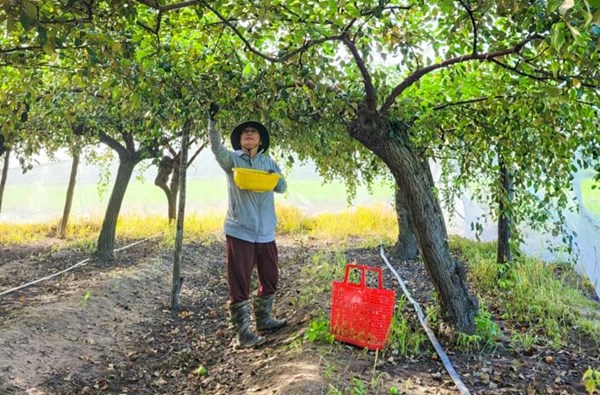 Khánh Hòa: Trưởng ban công tác Mặt trận giỏi việc nước, đảm việc nhà