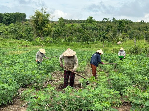 Phú Yên: Triển khai các mô hình kinh tế giúp các hộ nghèo phát triển giai đoạn 2024-2029