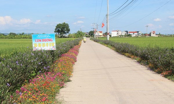 Bắc Giang: Đẩy nhanh tiến độ xây dựng nông thôn mới