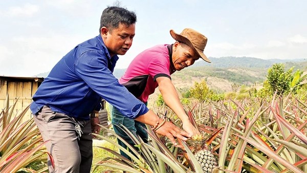 Hiệu quả các chương trình mục tiêu quốc gia ở tỉnh Kon Tum