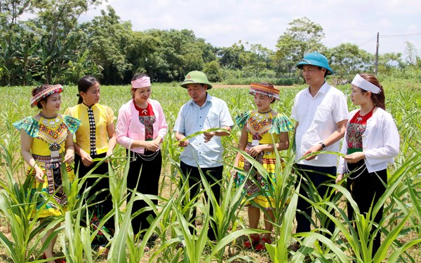 Phú Thọ: Đổi thay từ chính sách dân tộc