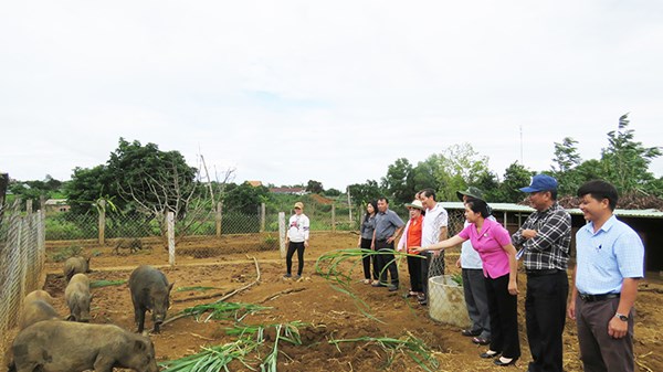 Phú Yên: Xây dựng khu dân cư tự quản, đoàn kết, ấm no, hạnh phúc